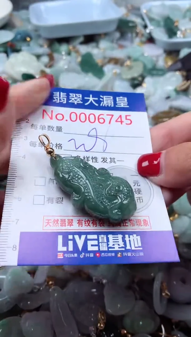 颈饰未镶嵌翡翠6745