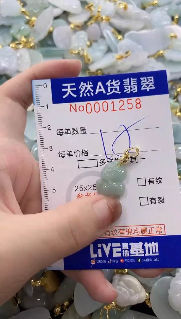 颈饰未镶嵌翡翠天然A货翡翠