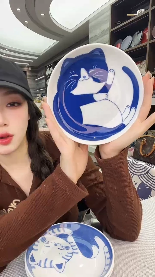 盘日本进口猫咪圆盘16.5cm