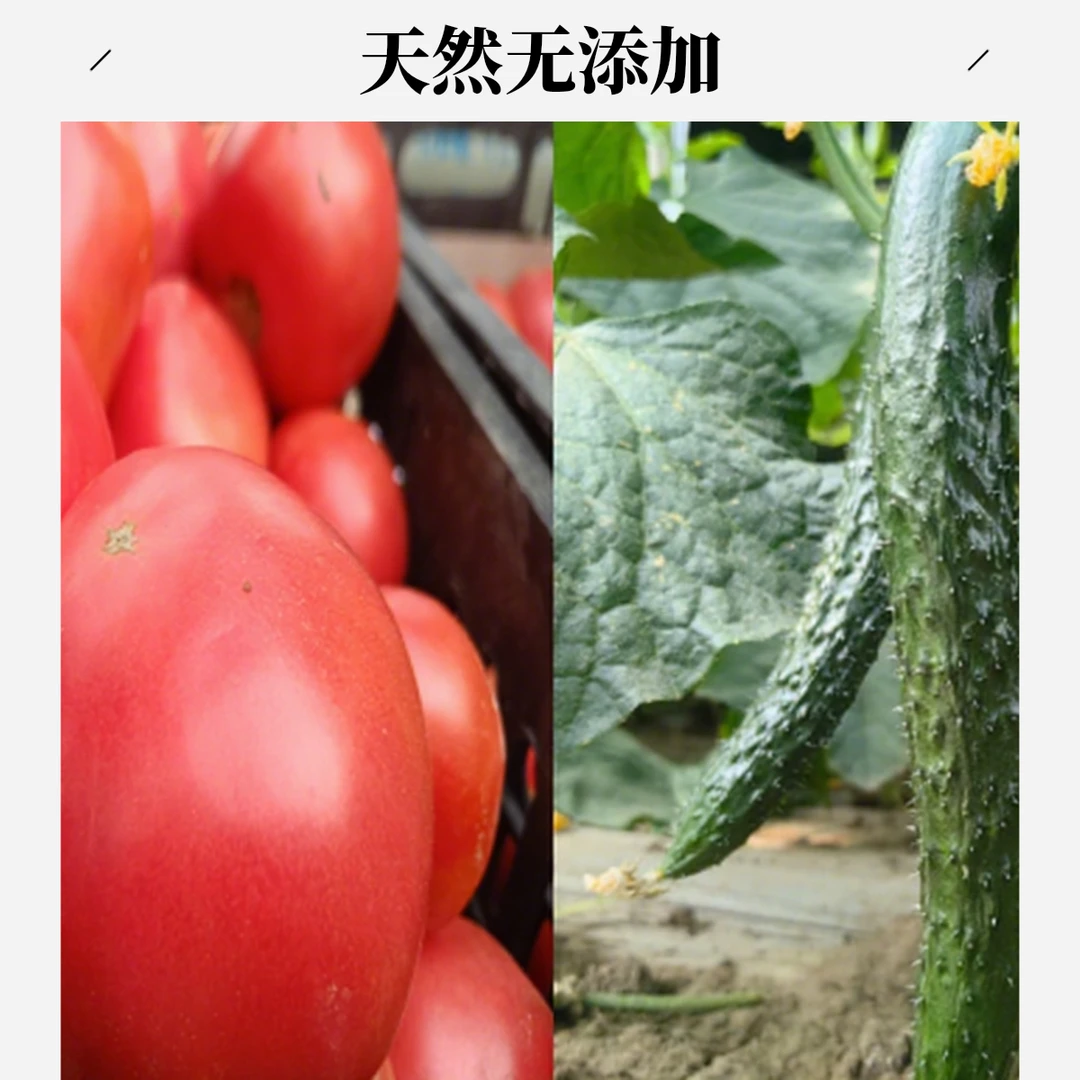 【小鱼儿生鲜超市】黄瓜3斤+老味西红柿2斤现摘现发精品新鲜蔬菜