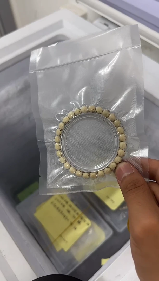 星月菩提手串石玉【半壁】河豚8*7  一物一图
