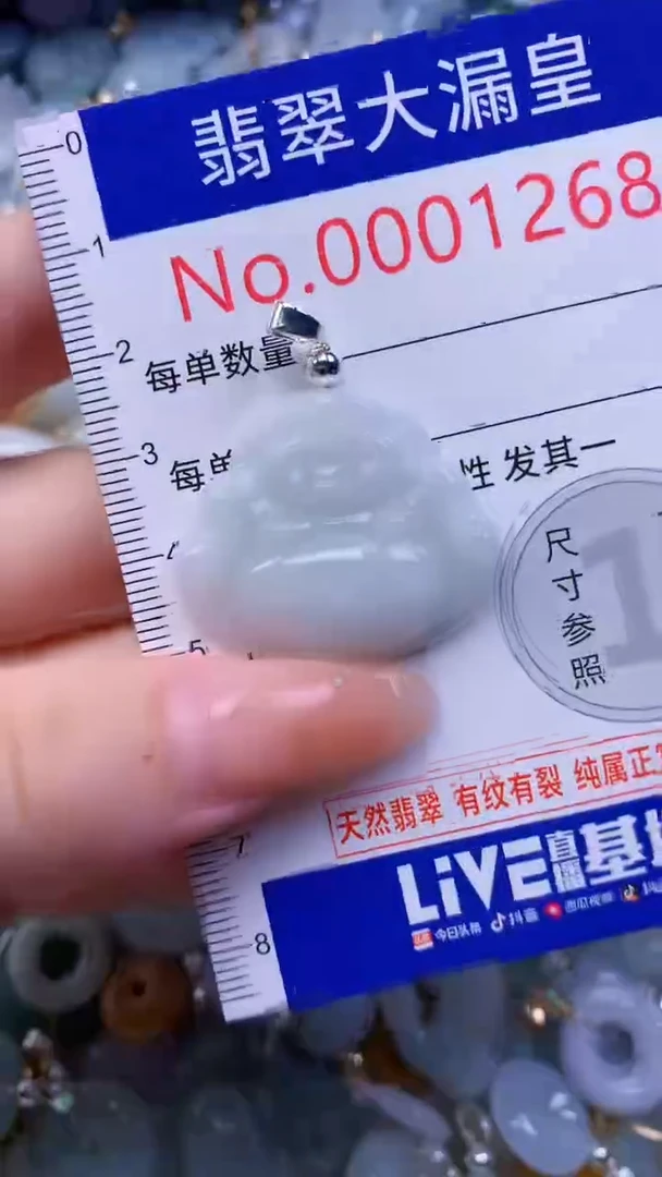 翡翠未镶嵌吊坠(不含链)1268