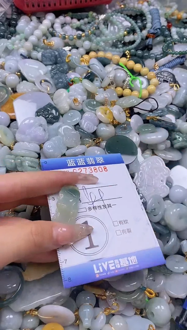 翡翠未镶嵌颈饰闪购0273808