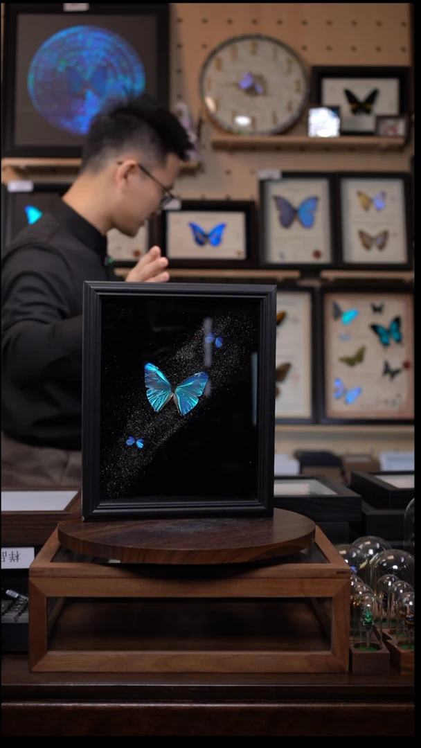 小****你西风闪蝶银河款J93