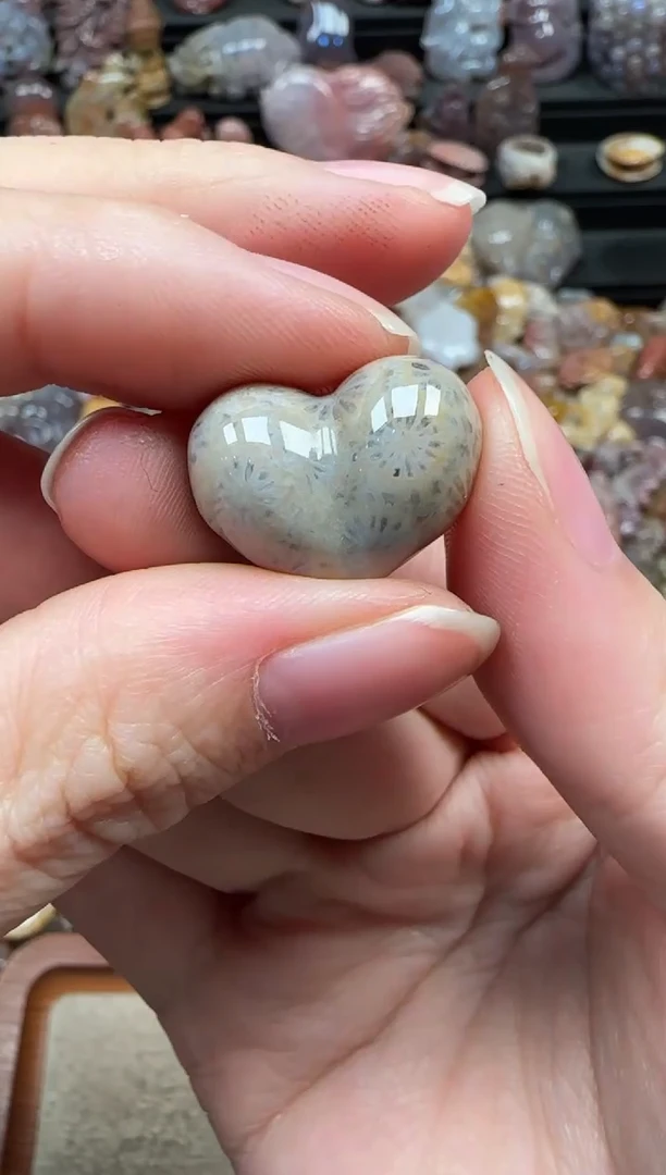 颈饰未镶嵌硅化珊瑚（珊瑚玉）724