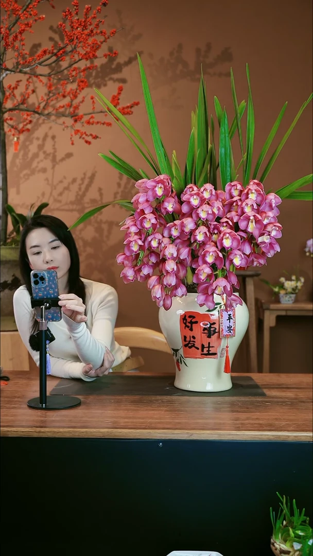 【闪购商品】盆景粉红露露 好事