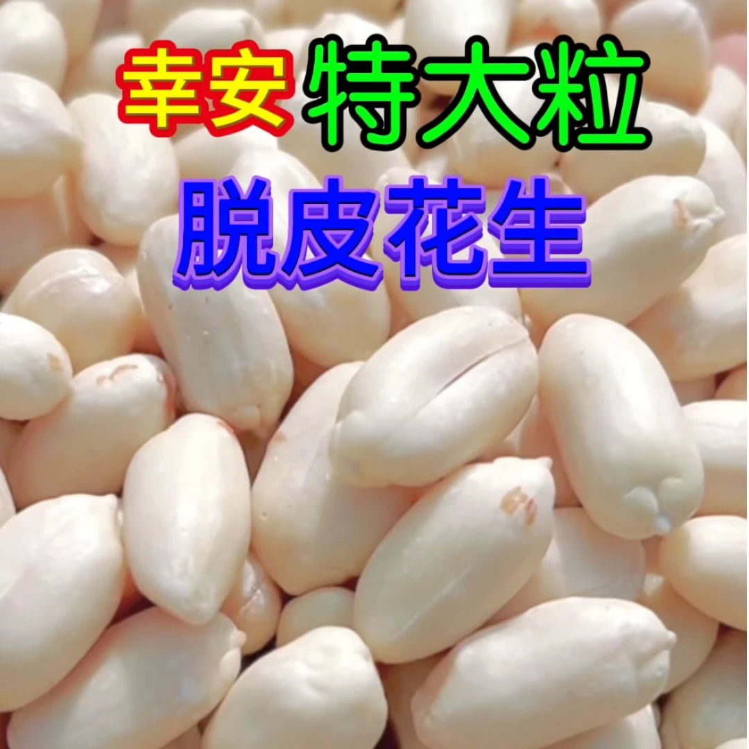 脱皮花生2024新鲜晒干生花生特大长粒花生瘪花生米