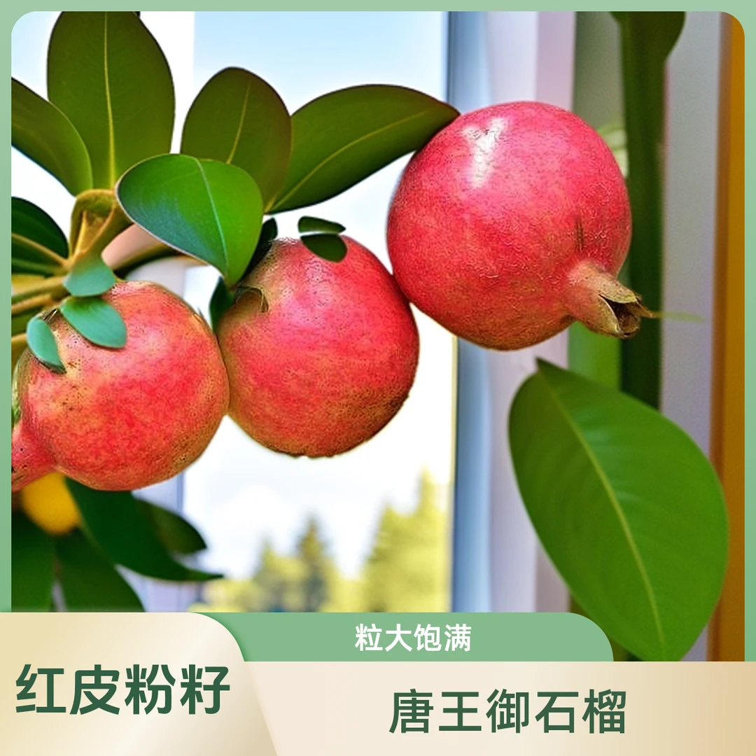 陕西大籽甜石榴红石榴硬籽石榴酸甜爽口红皮粉籽产地直发