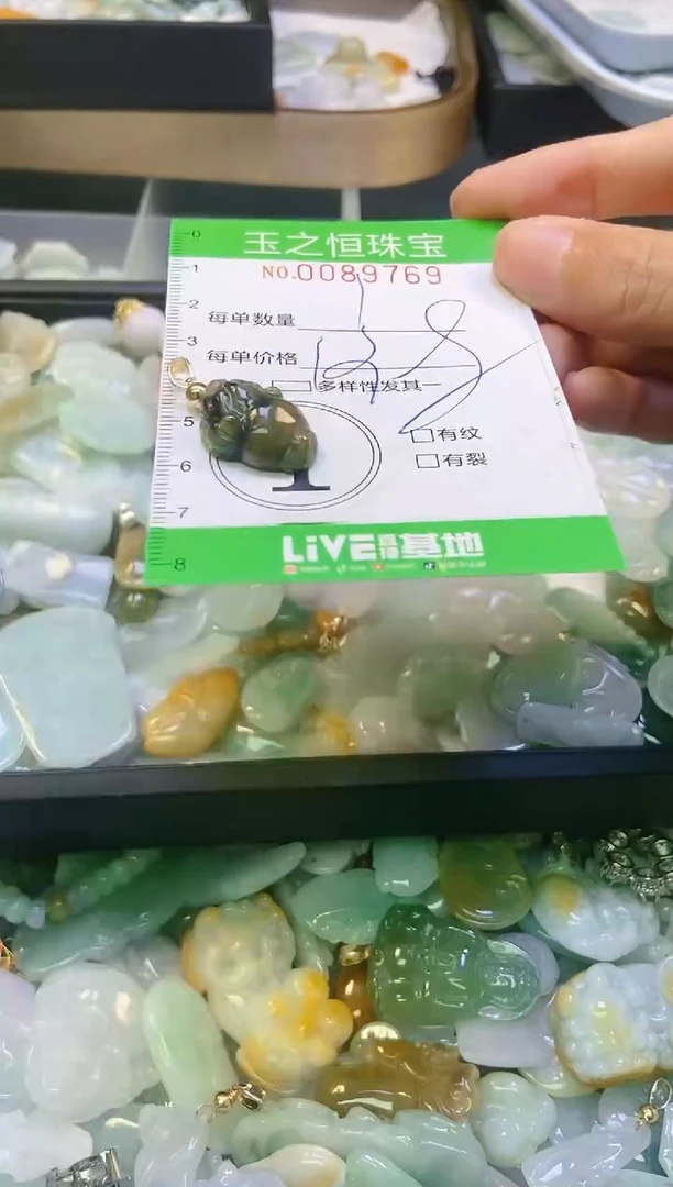 翡翠未镶嵌颈饰闪购0089769