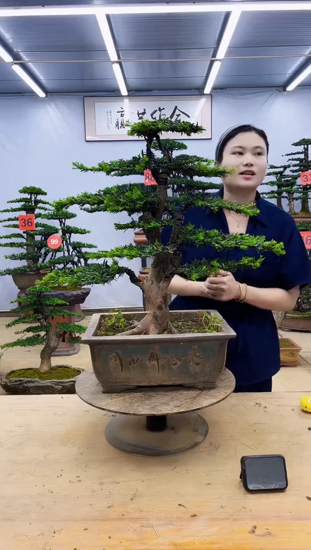 无花朵一物一拍，所见即所得