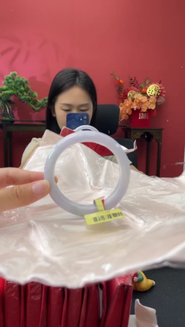 未镶嵌手镯翡翠5