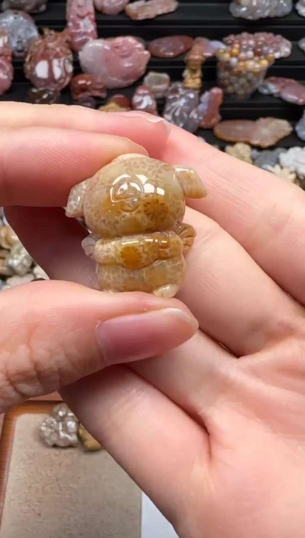 【闪购商品】硅化珊瑚（珊瑚玉）颈饰未镶嵌046