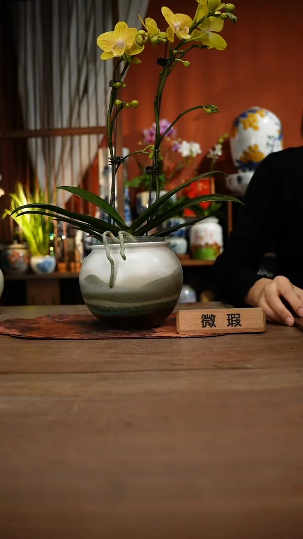 当代高温釉下彩手绘陶瓷餐具