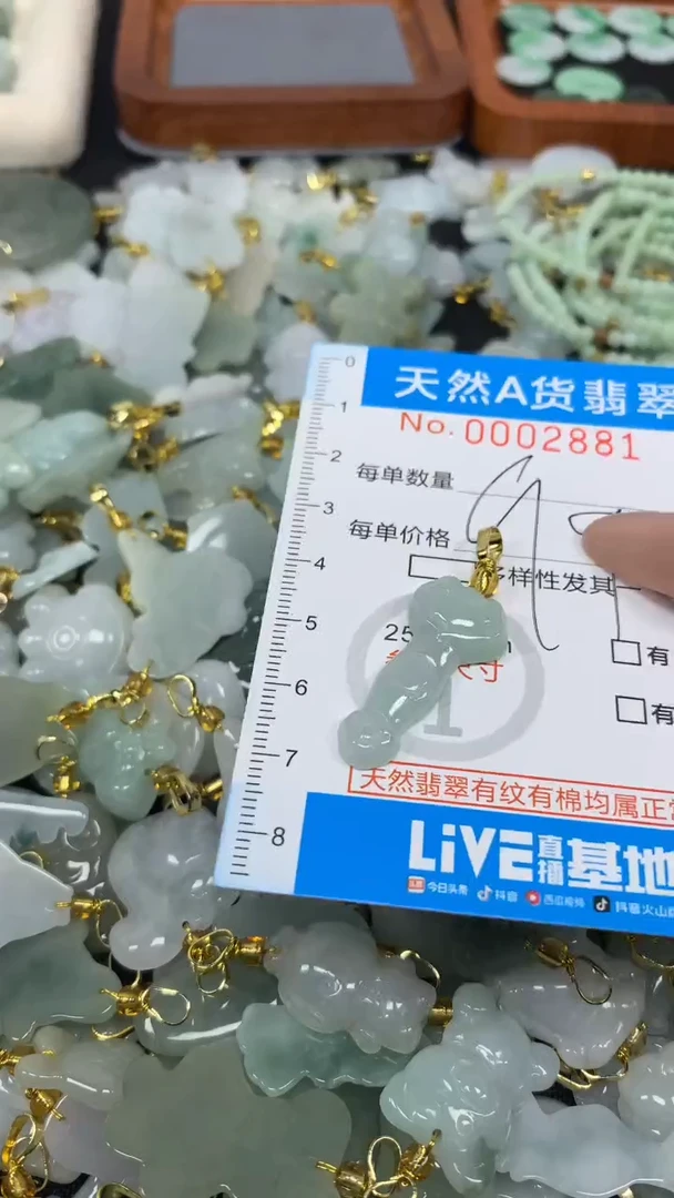 翡翠未镶嵌颈饰净货挂件-2881