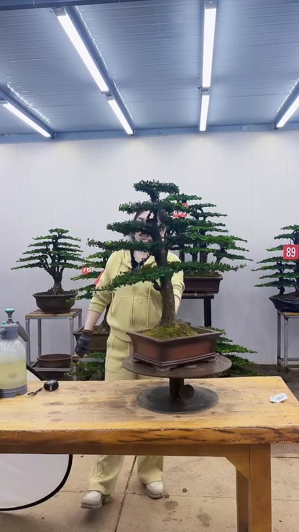无花朵一物一拍，所见即所得