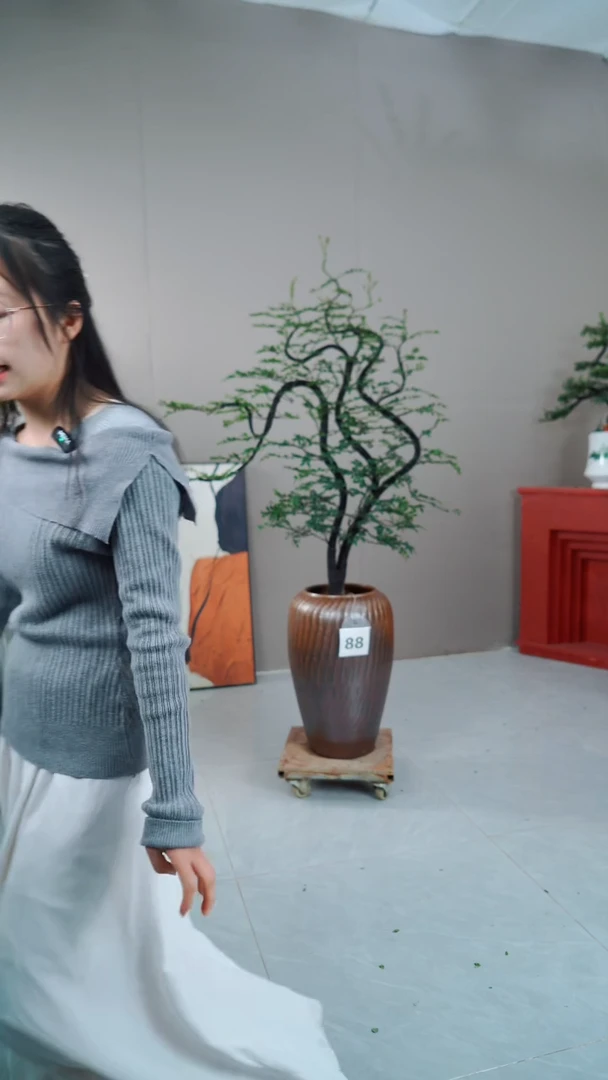 【闪购商品】88号链接