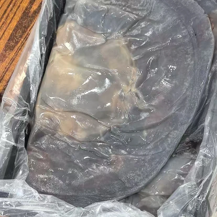 2025年野生海蜇红皮 包邮