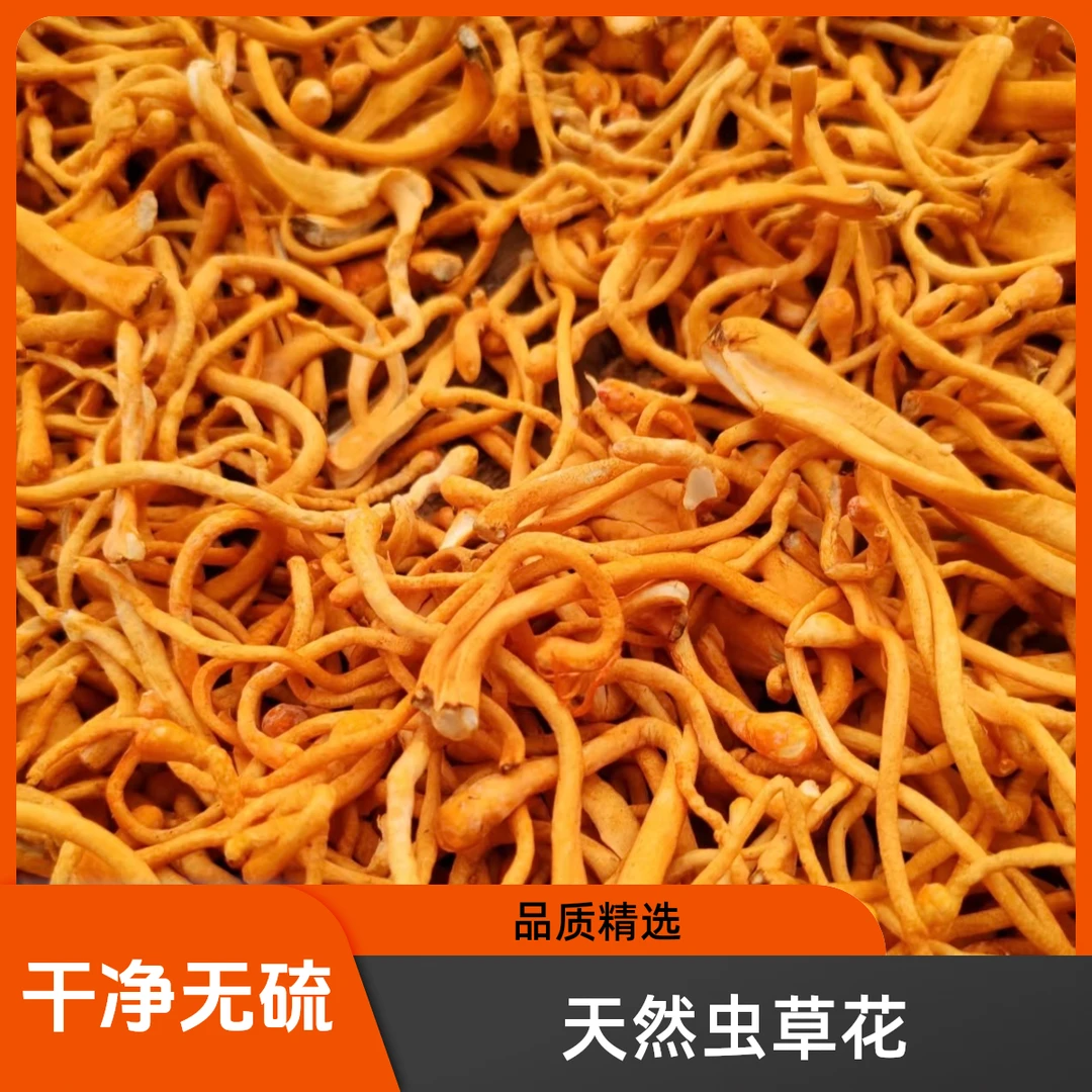 小妹精选【虫草花】天然晒干 干净无硫