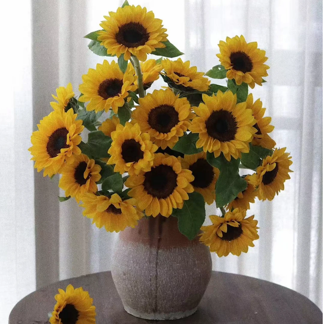 【六哥花卉】5支 向日葵