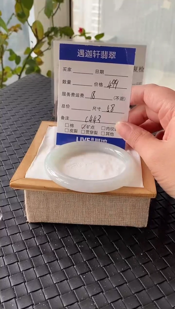 未镶嵌手镯翡翠58圈口 C443编码