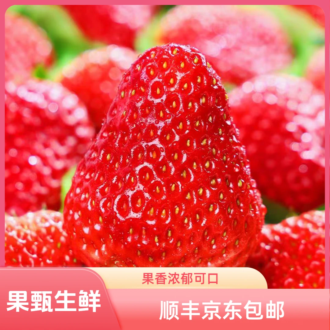 [果果]老马岗丹东99草莓净果1斤 顺丰京东包邮