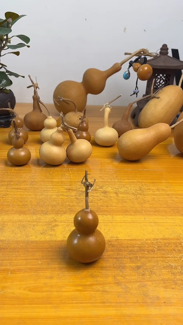 葫芦老****号1111111111111111111111111