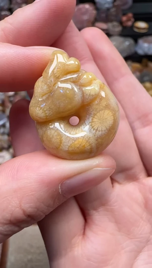 颈饰未镶嵌硅化珊瑚（珊瑚玉）158