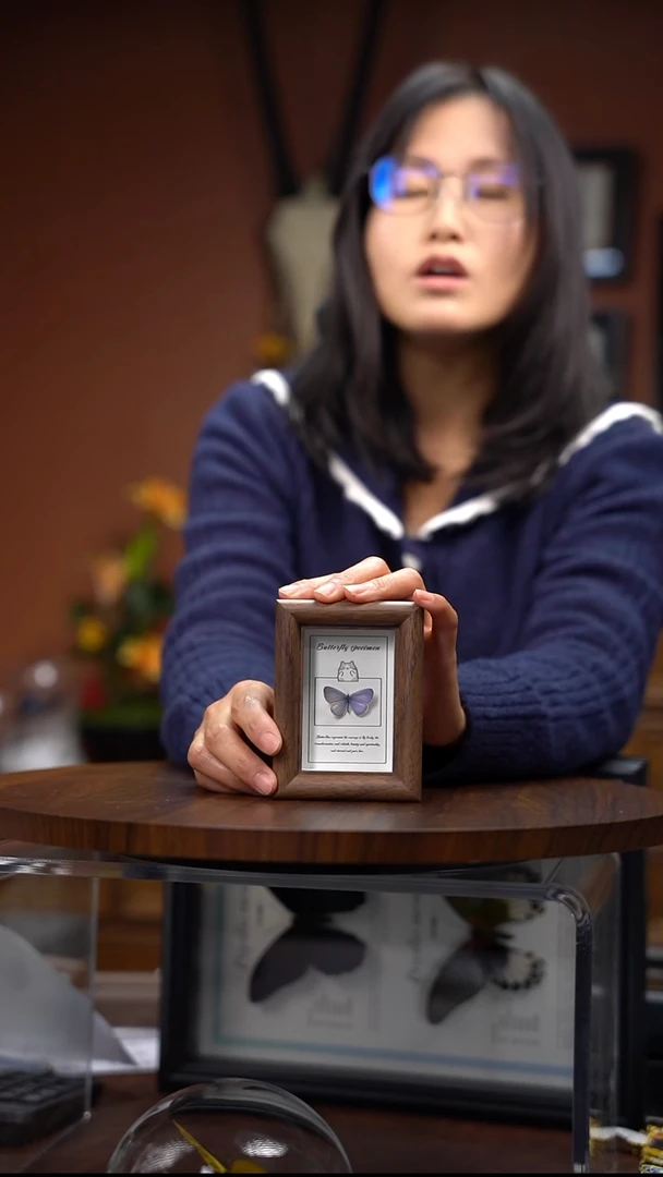 小灰蝶 冰箱贴 木质框  常规