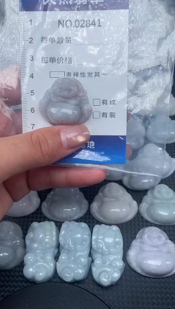 颈饰未镶嵌翡翠纯天然A货翡翠2841