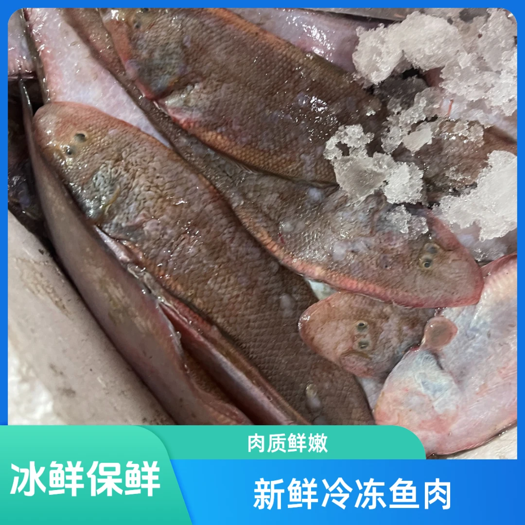 湛江新鲜海捕舌头鱼龙利鱼海鲜5斤净重顺丰冷链包邮炸鱼