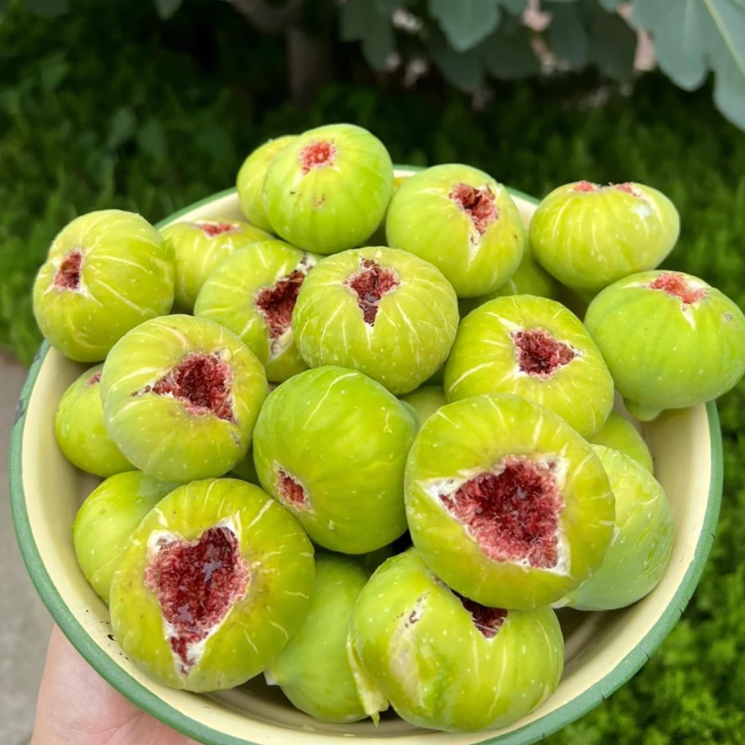 鲜无花果【顺丰空运】威海青皮无花果新鲜现摘皮薄肉厚软糯香甜