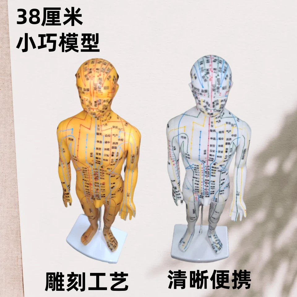 【清晰小巧便携】38厘米人体经络穴位模型针灸人体穴位模型不褪色