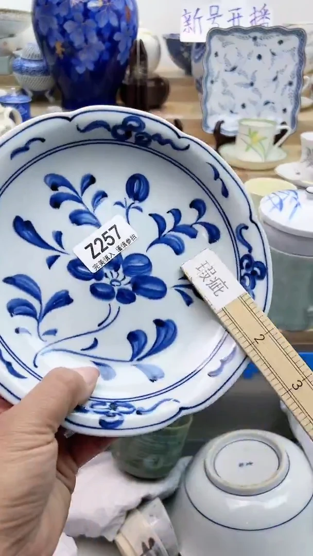 【闪购商品】瓷片257