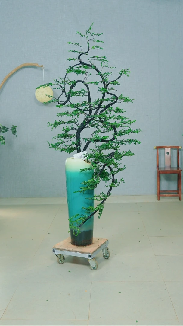 无花朵天**上广东小叶紫檀
