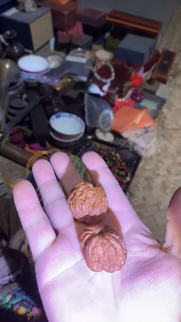 【闪购商品】贝壳手串/手链28啊啊啊啊啊啊啊啊啊