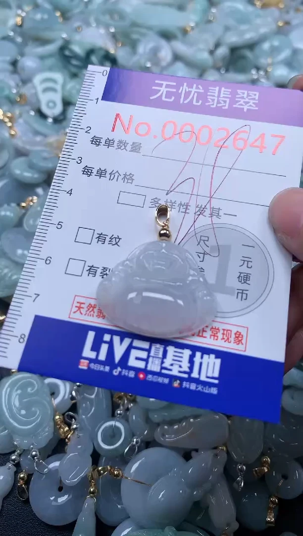 翡翠未镶嵌吊坠(不含链)2647