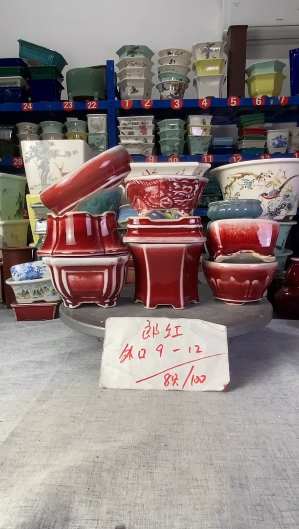 25914八只郎红花盆