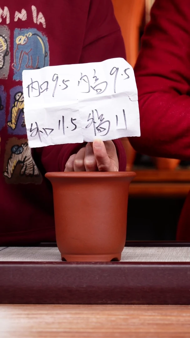 【闪购商品】紫砂花盆清水泥迷你小金钟一只无托