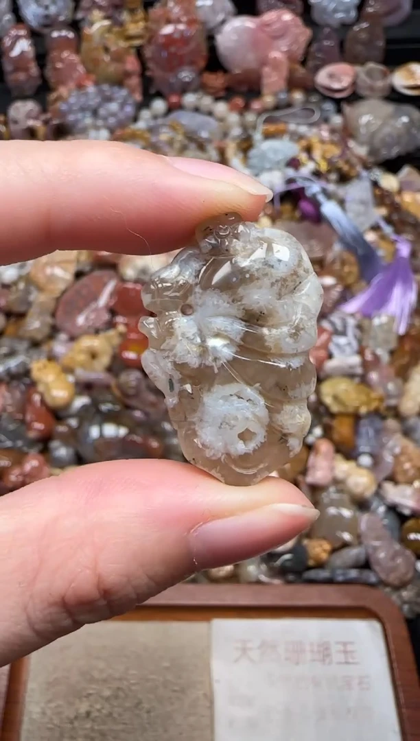 颈饰未镶嵌硅化珊瑚（珊瑚玉）272
