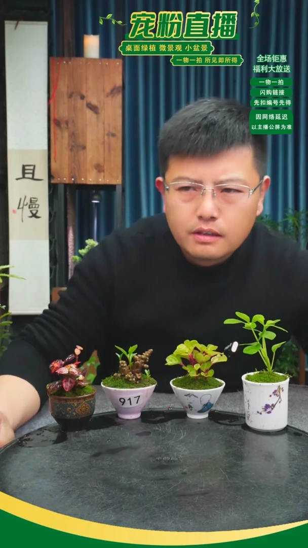 无花朵s**w苔藓微景观917号