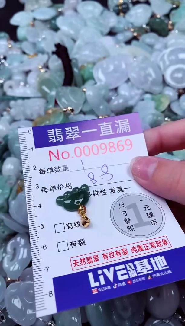 吊坠(不含链)未镶嵌翡翠9869