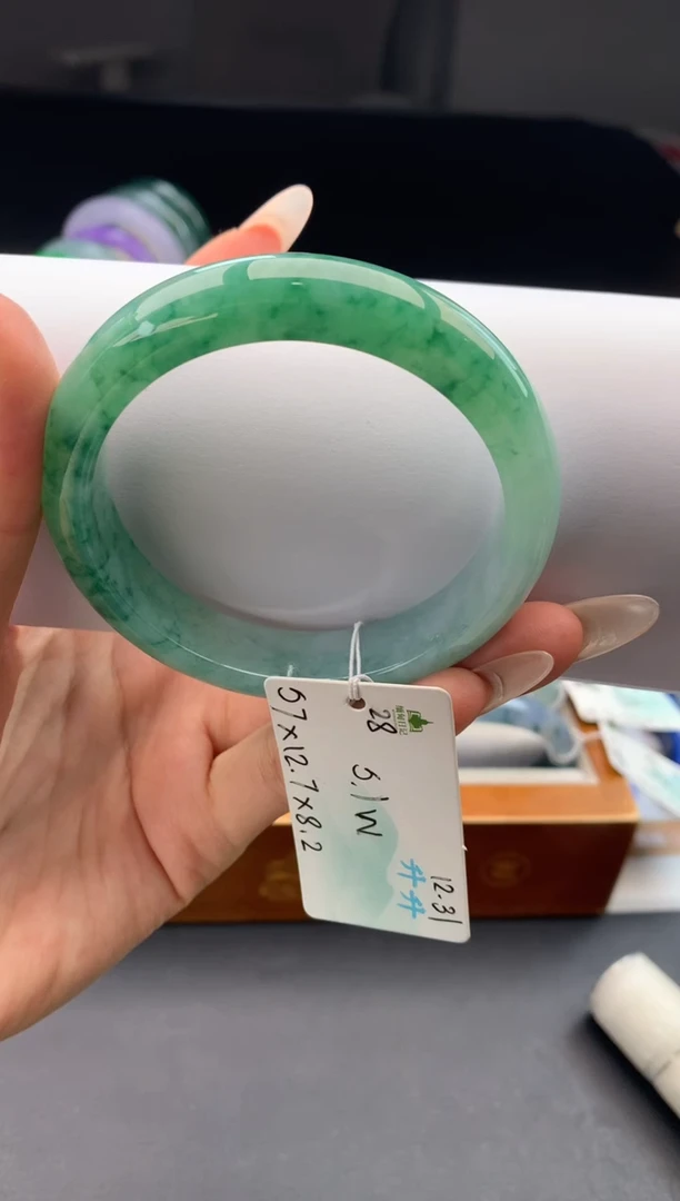 未镶嵌手镯翡翠狮***️翡翠自带#送人#，假一赔三