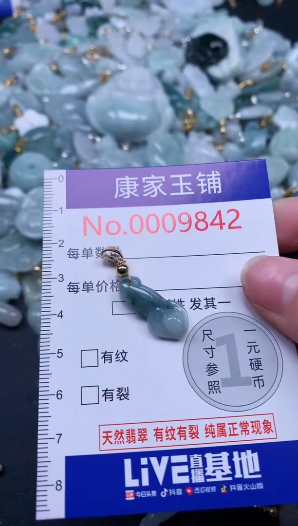 颈饰未镶嵌翡翠9842