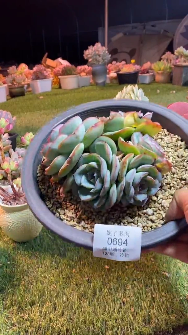 0694《满28包邮发货》