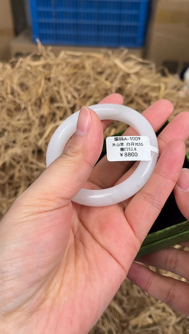 未镶嵌手镯石英质玉编码A1009