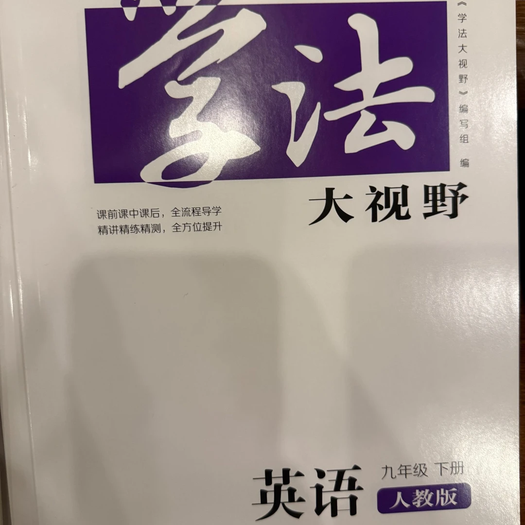 九年级下册 学法大视野语文 湖南教育出版社
