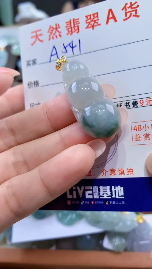 颈饰未镶嵌翡翠天然翡翠A货挂件