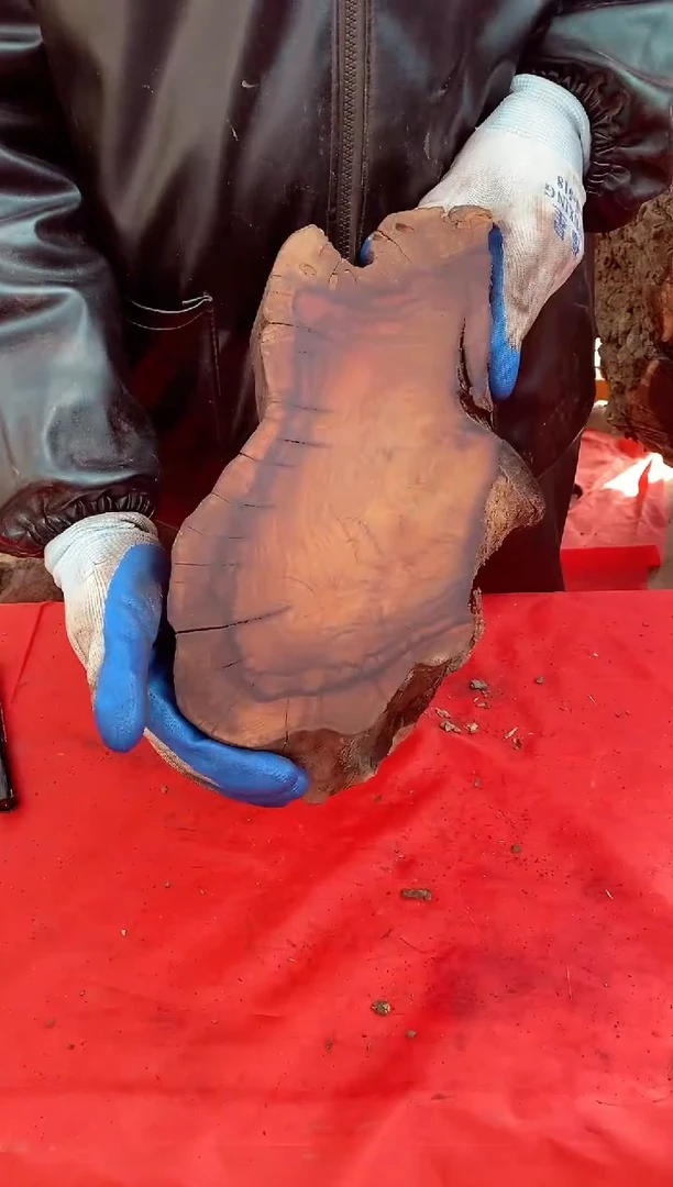 【闪购商品】枣木【50】号原木段，尺寸随行