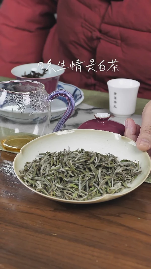 2025年特级白毫银针 250克+5克样