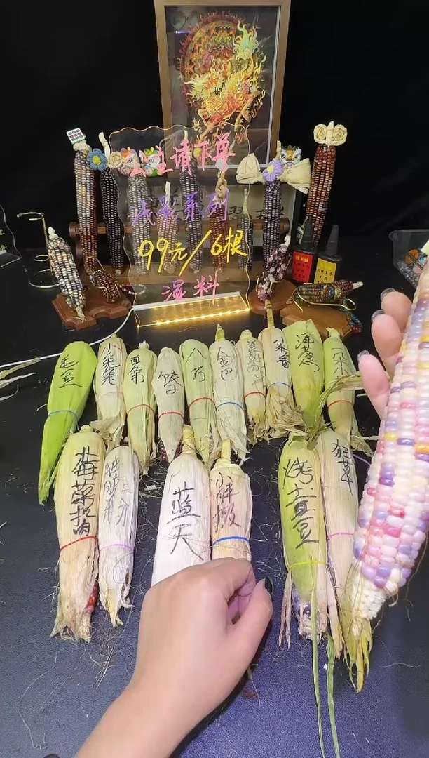 鸡****蛹红红火火恍恍惚惚哈哈哈哈哈